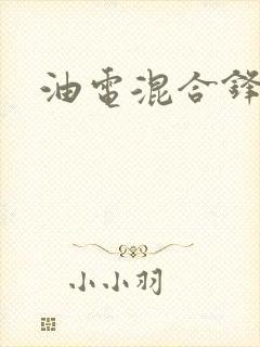 油电混合锋兰达