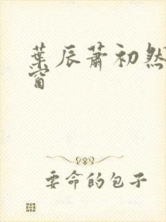 叶辰萧初然无弹窗