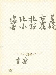 你比北京美丽原著小说在线阅读