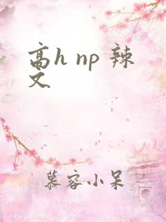 高h np 辣文