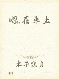 嗯,在车上