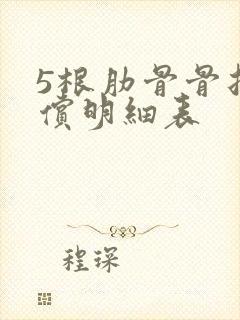 5根肋骨骨折赔偿明细表