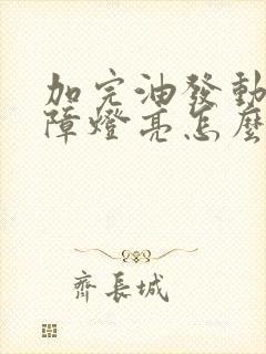 加完油发动机故障灯亮怎么办