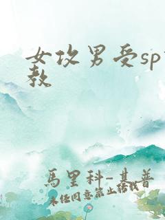 女攻男受sp调教