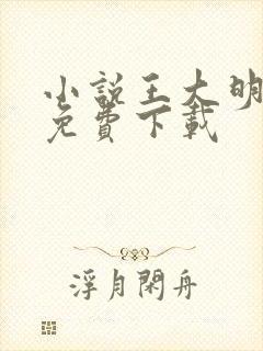 小说王大明萧红免费下载