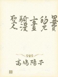 圣骑士的异世恋人漫画免费观看
