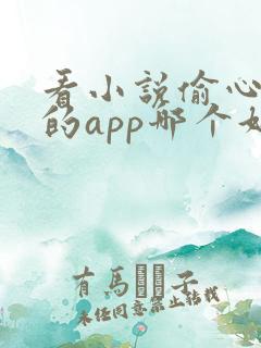 看小说偷心免费的app哪个好