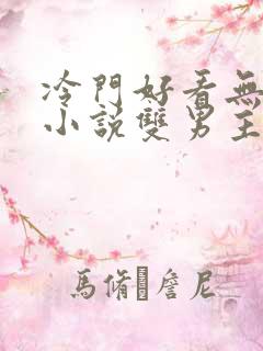冷门好看无限流小说双男主