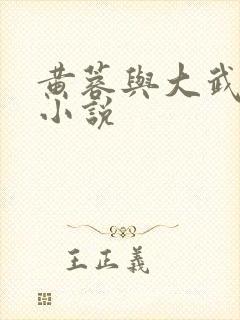 黄蓉与大武小武小说