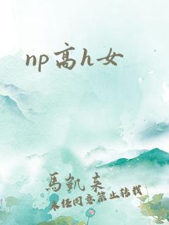 np高h女