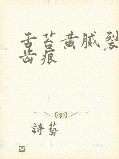舌苔黄腻裂纹有齿痕