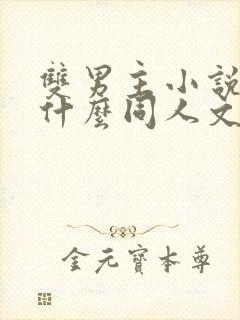 双男主小说简称什么同人文