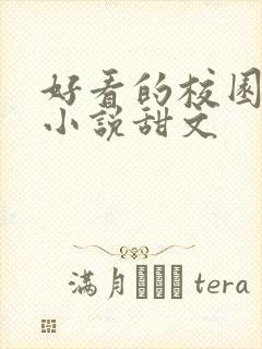 好看的校园言情小说甜文