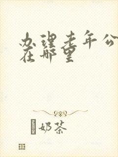 办理老年公交卡在哪里