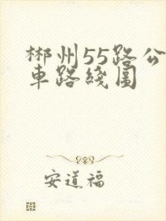 郴州55路公交车路线图 郴州55路公交车路线图