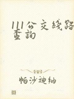 111公交线路查询