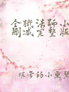 全职法师小说未删减完整版