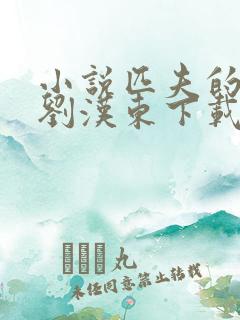 小说匹夫的逆袭刘汉东下载全文