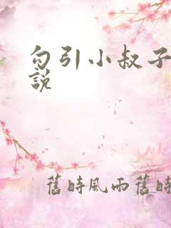 勾引小叔子的小说