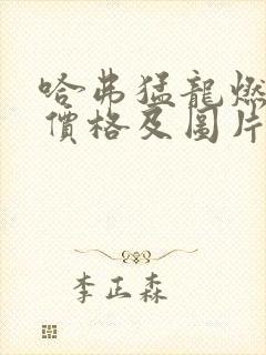 哈弗猛龙燃油版价格及图片 哈弗猛龙燃油版价格及图片
