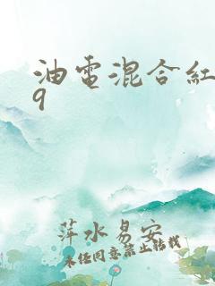 油电混合红旗h9 油电混合红旗h9