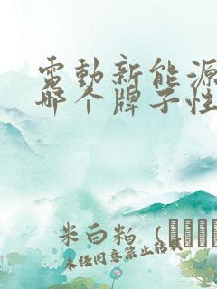 电动新能源汽车哪个牌子性价比高