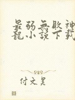 最弱无败神装机龙小说下载