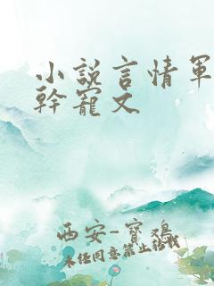小说言情军婚高干宠文