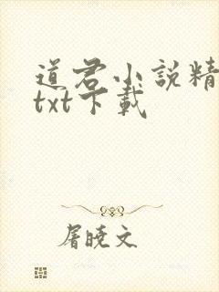 道君小说精校版txt下载