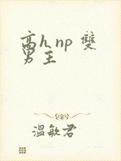 高h np 双男主