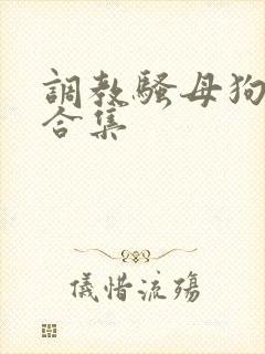 调教骚母狗小说合集