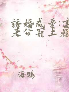 诱婚成爱:高冷老公宠上瘾