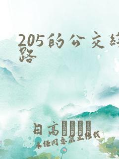 205的公交线路