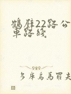 鹤壁22路公交车路线