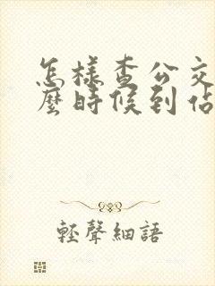 怎样查公交车什么时候到站