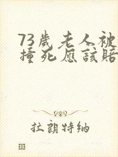 73岁老人被车撞死应该赔偿多少钱