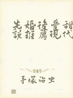 先婚后爱甜文小说推荐现代言情