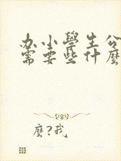 办小学生公交卡需要些什么资料呢