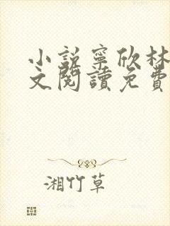 小说宁欣林峰全文阅读免费无弹窗