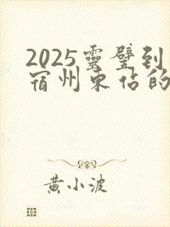 2025灵璧到宿州东站的班车时刻表查询