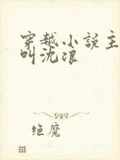 穿越小说主人公叫沈浪