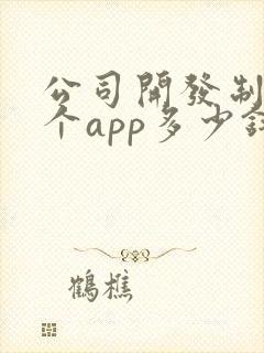 公司开发制作一个app多少钱