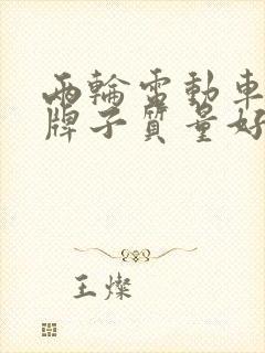 两轮电动车什么牌子质量好 两轮电动车什么牌子质量好