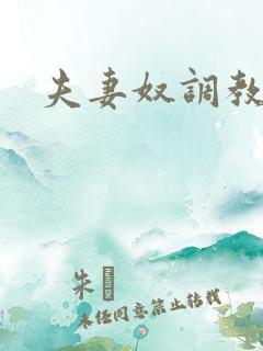 夫妻奴调教经历 夫妻奴调教经历