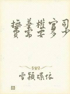 抚养权官司律师费需要多少钱 抚养权官司律师费需要多少钱