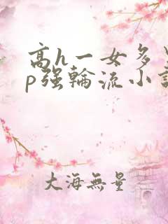 高h一女多男np强轮流小说
