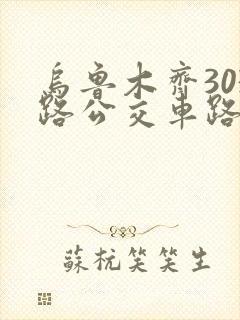 乌鲁木齐303路公交车路线图