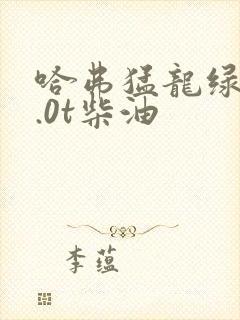 哈弗猛龙绿静2.0t柴油