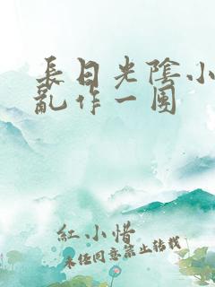长日光阴小说_乱作一团
