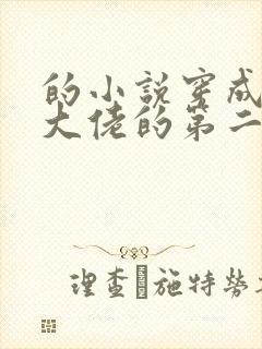 的小说穿成女装大佬的第二人格